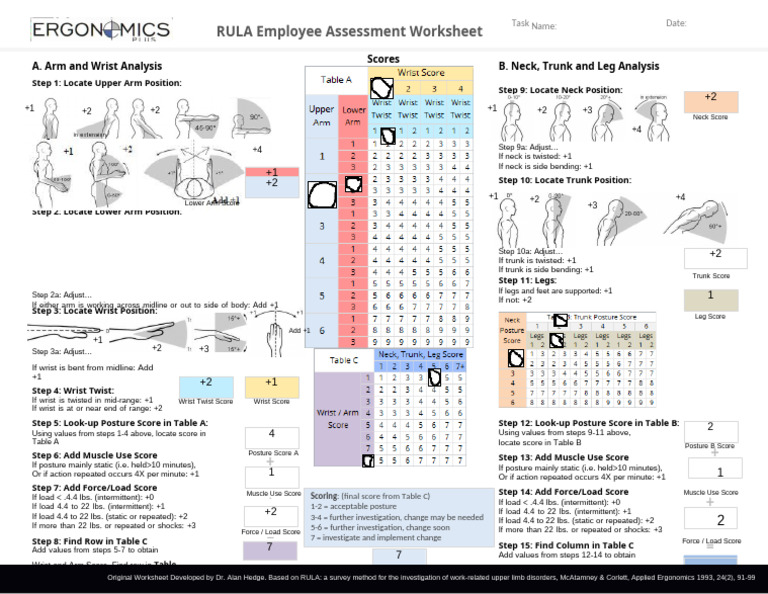 RULA - Gambar 1 | PDF | Arm | Anatomical Terms Of Motion
