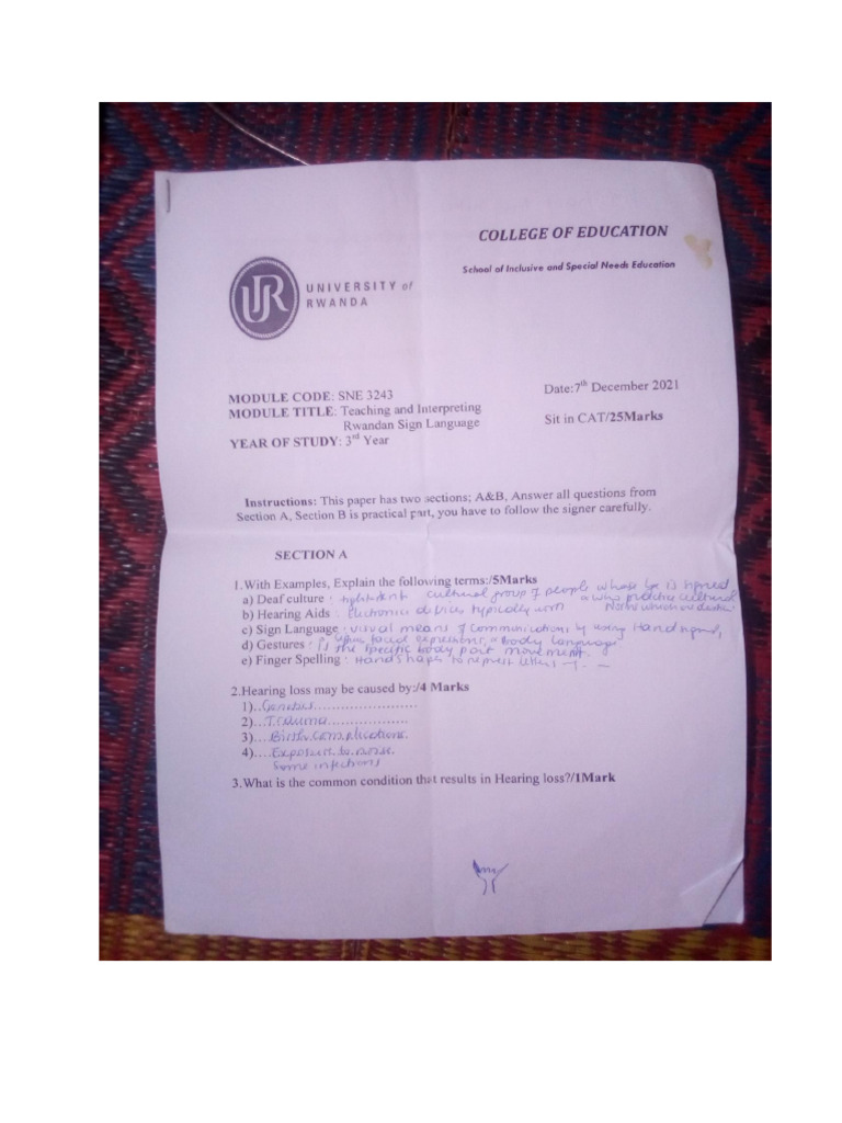 CAT PAST PAPERS PDF DOWNLOAD visual data 8