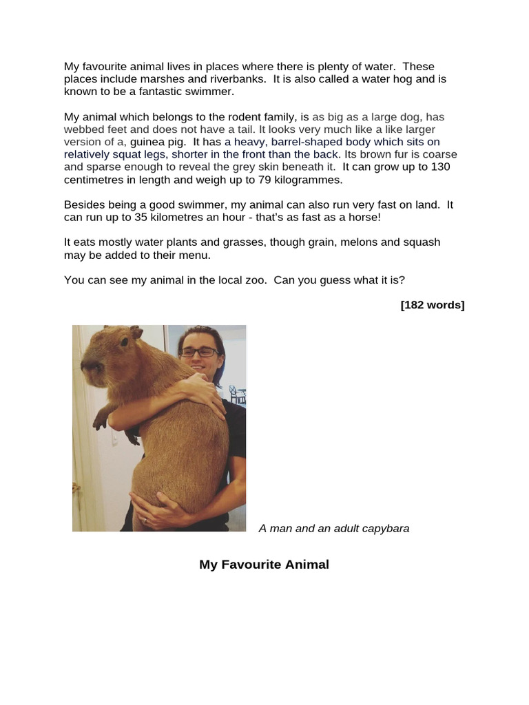 Capybara: A Descriptive Overview | PDF