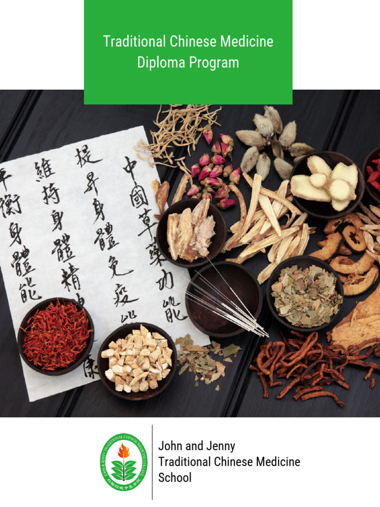 TCM Diploma for Aspiring Practitioners | PDF | Traditional Chinese ...