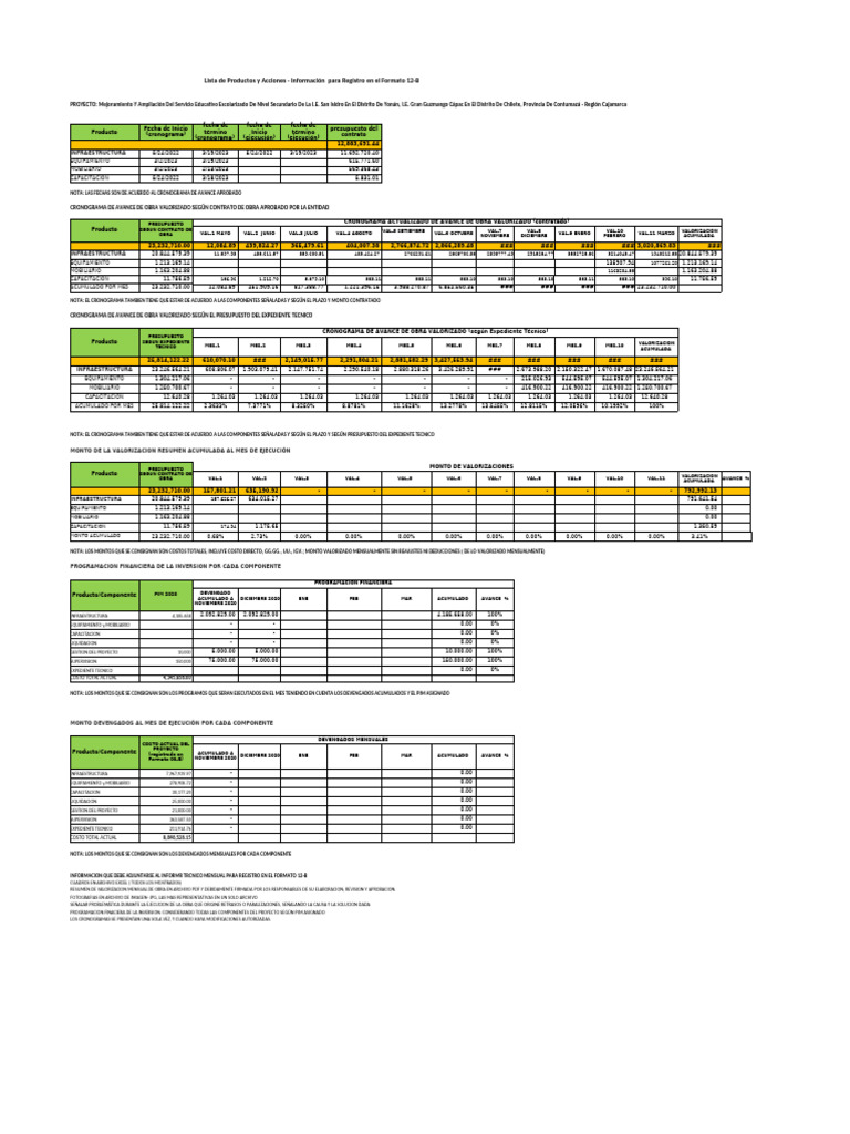 Formato 12 B Sas | PDF
