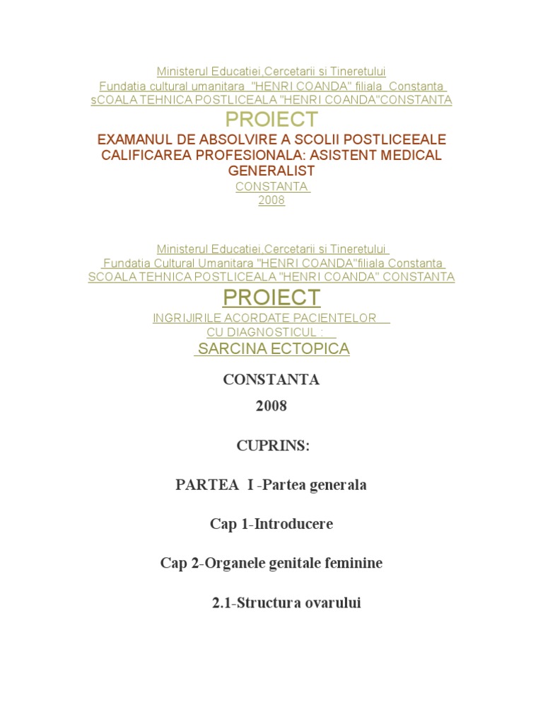 Model Lucrare Licenta | PDF