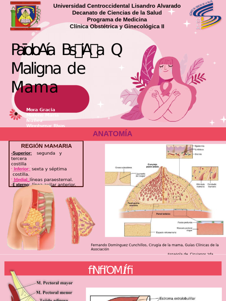Cáncer de Mama: Síntomas y Diagnóstico | PDF | Cáncer de mama | Pecho