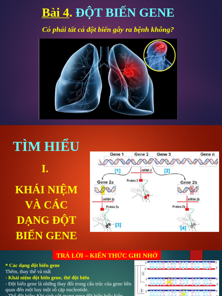 Bài 4- Đột Biến Gene Gui Hs | PDF