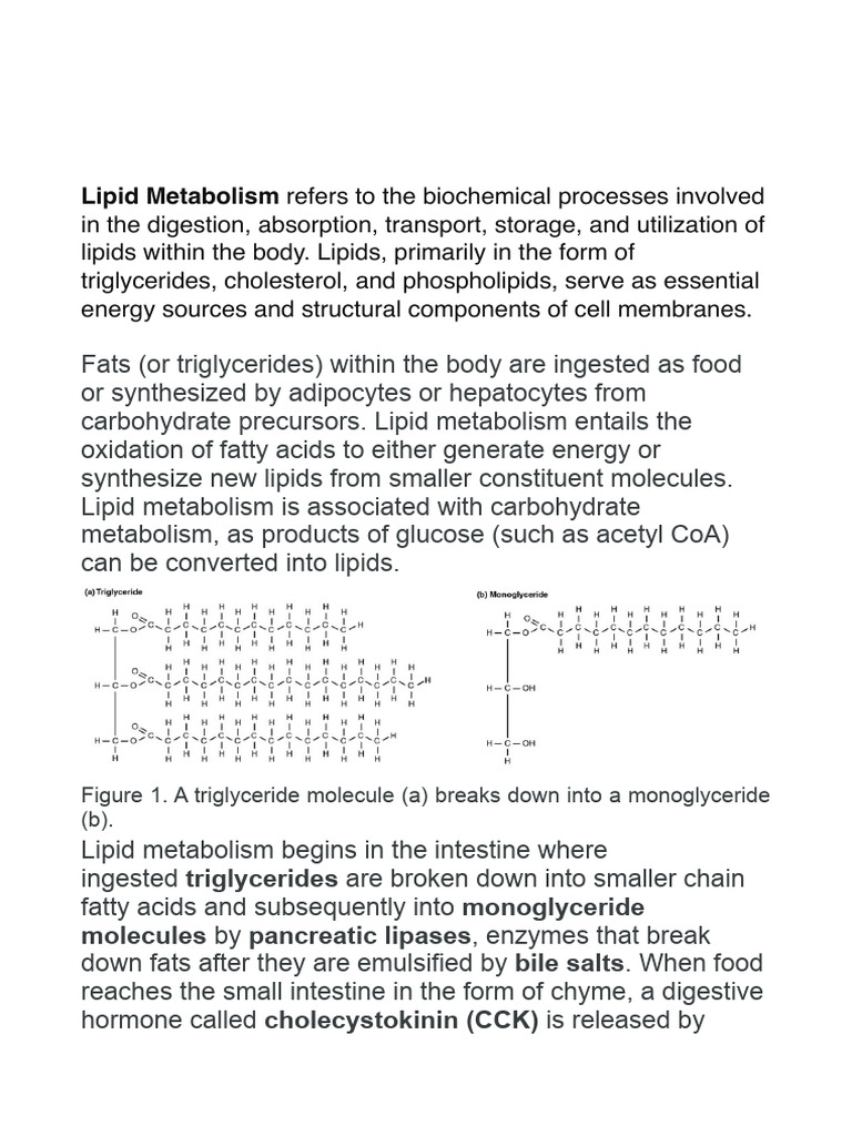 Understanding Lipid Metabolism Processes | PDF | Lipoprotein | Lipid