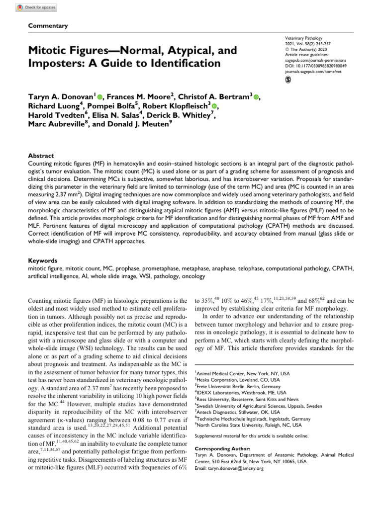 Donovan Et Al 2020 Mitotic Figures Normal Atypical and Imposters A ...
