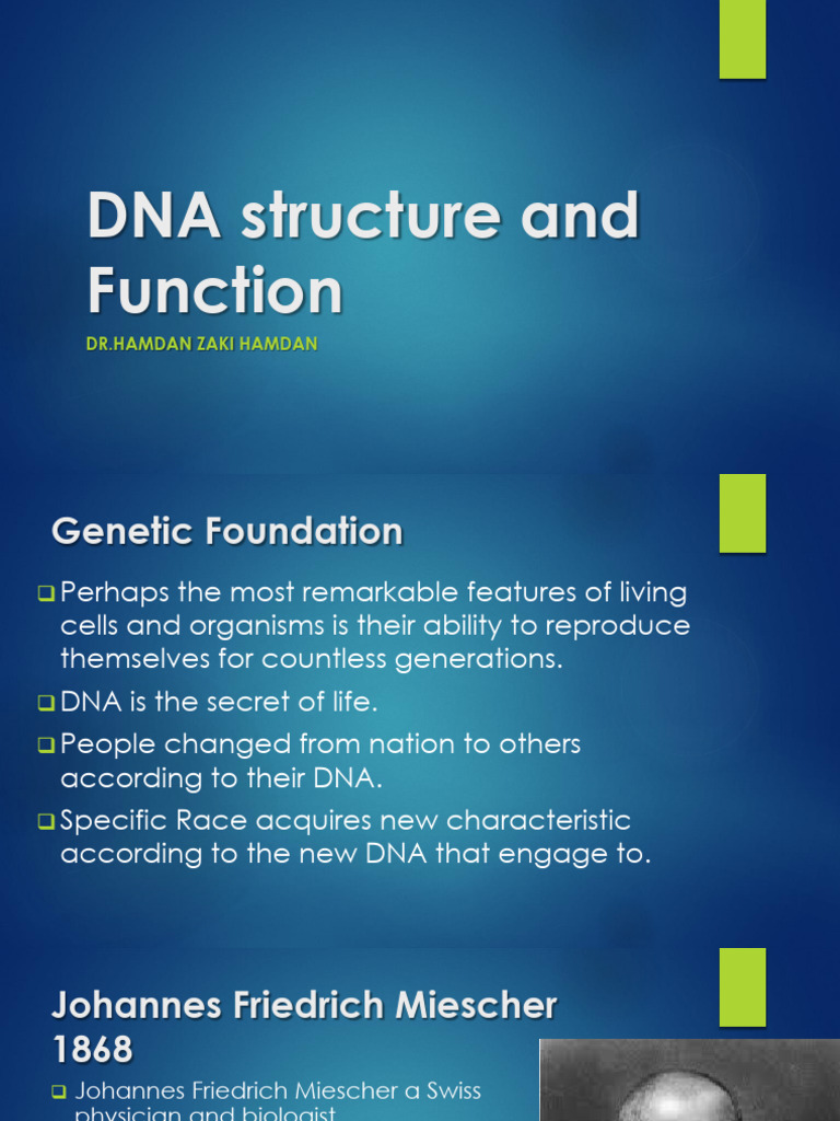 DNA Structure and Function | PDF | Rna | Dna