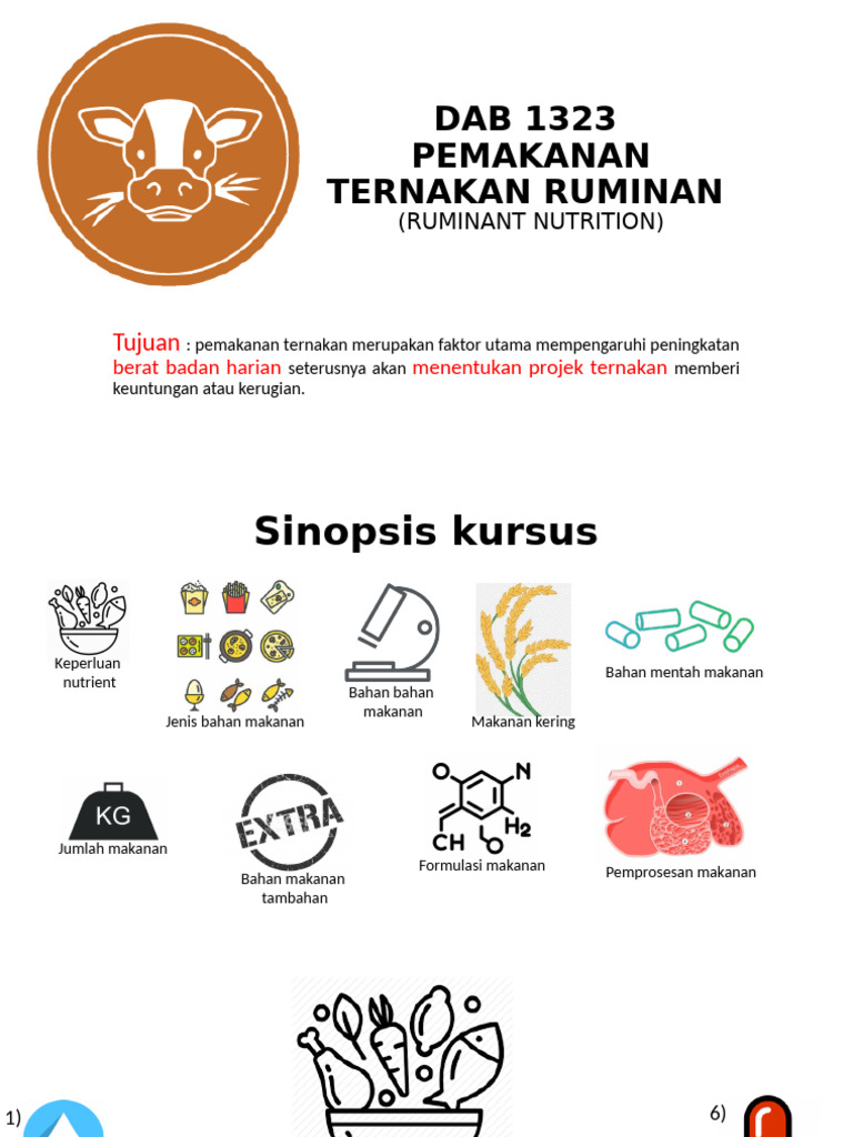0.0 Pengenalan Pemakanan Ternakan Ruminan | PDF