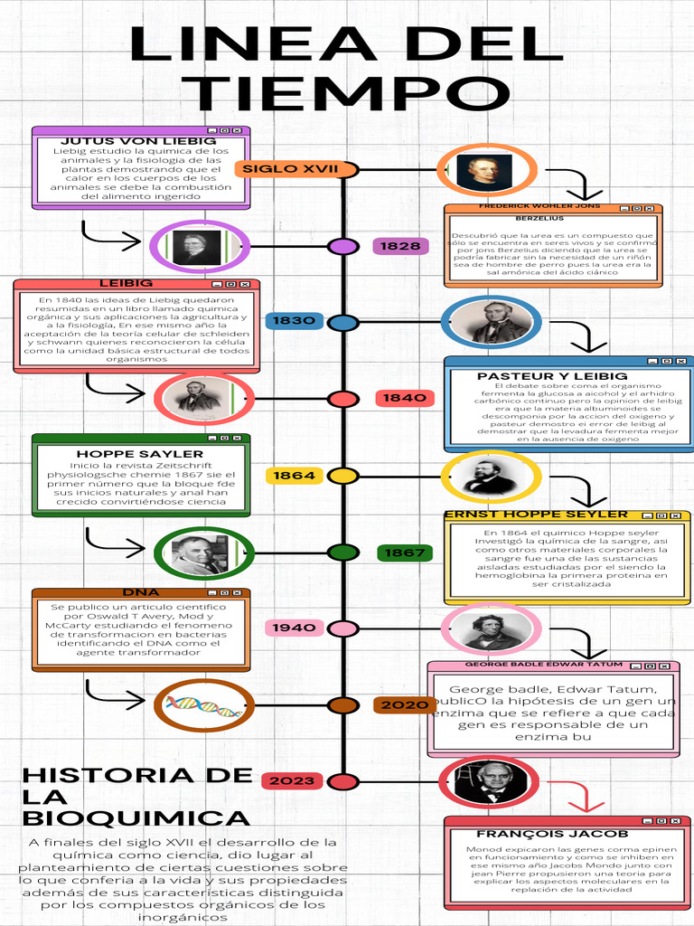 View of Infografia Linea Del Tiempo Moderna Multicolor - 20240116 - 090116 ...