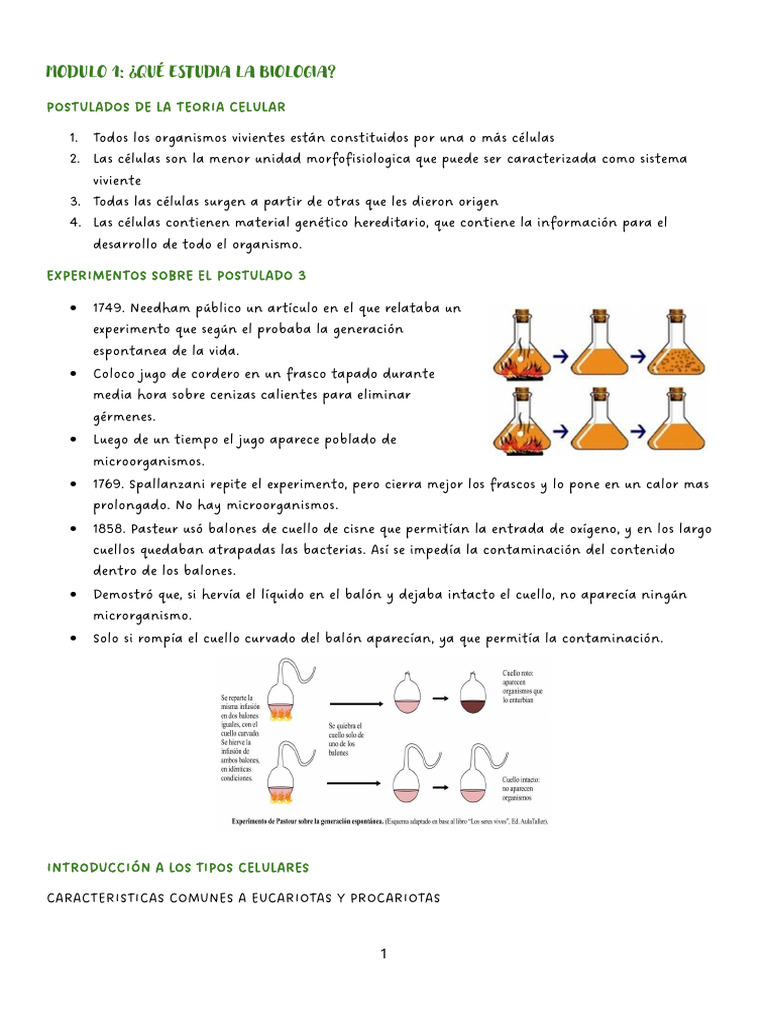 Bio Modulo1 | PDF | Biología Celular) | Adn