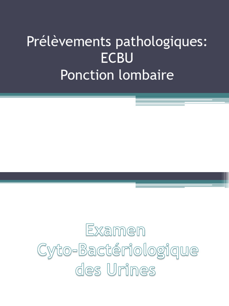 Interprétation des résultats d'ECBU | PDF | Méningite | Infection urinaire