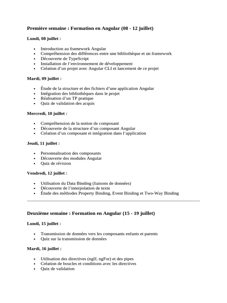 Formation complète en Angular et Spring Boot | PDF | Application ...