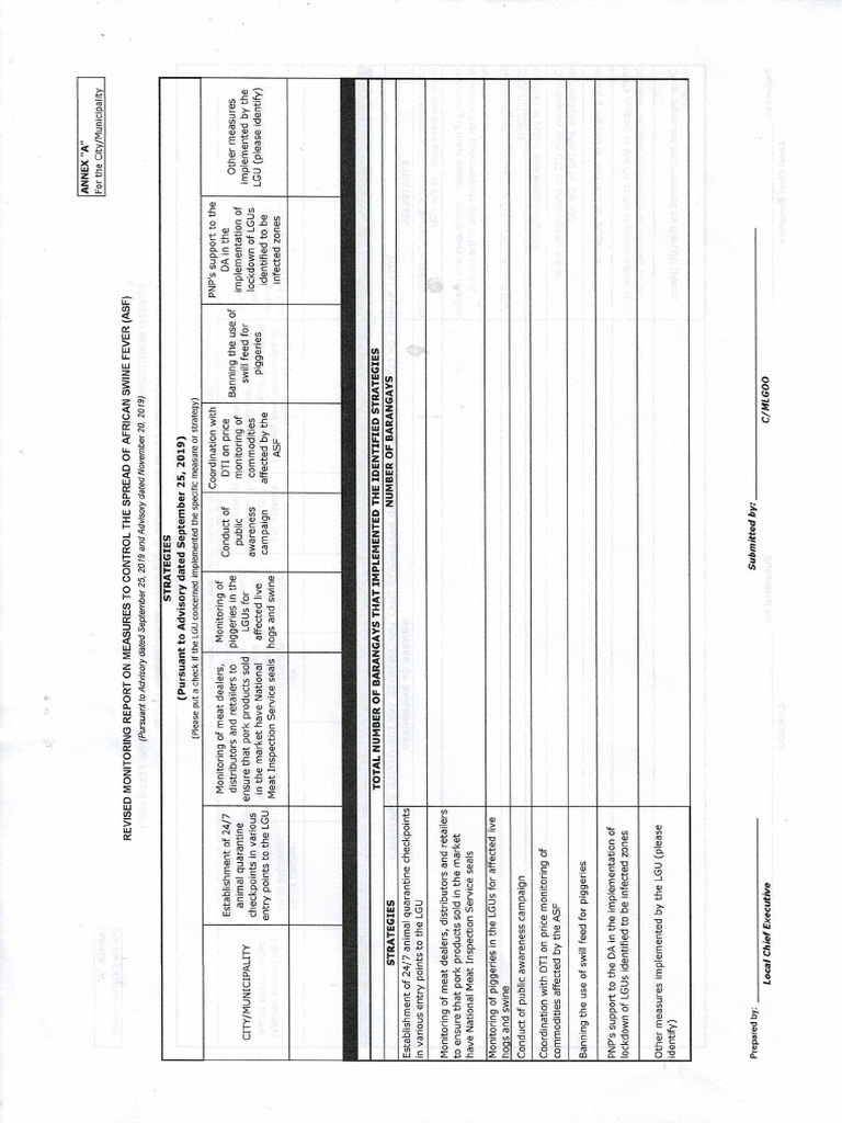 ASF Report Annex A Template | PDF