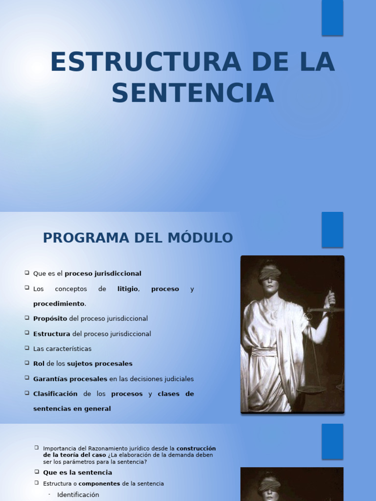 Estructura del Proceso Jurisdiccional | PDF | Debido al proceso