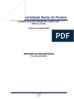 TCC Gravidez Na Adolescencia Estrutura Familiar