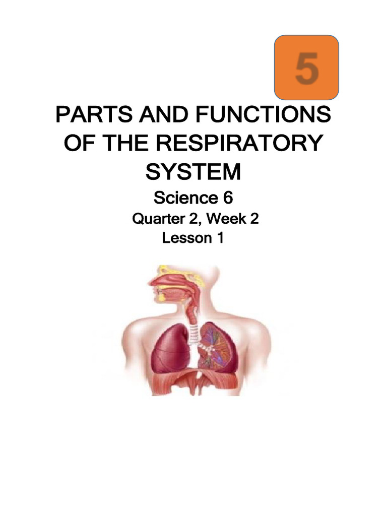 Passed 1455-13-21MELCS Parts and Functions of A Respiratory System ...