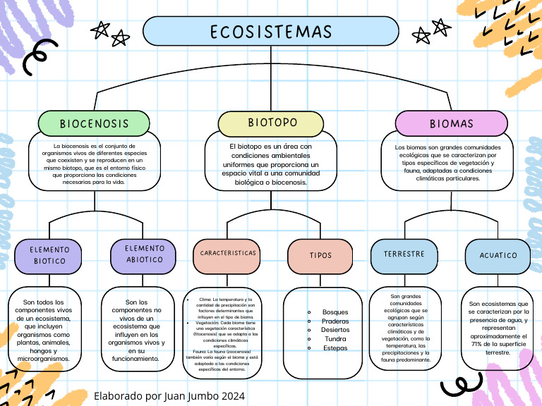 Hoja De Trabajo Con Mapa Conceptual De Ecosistemas Los Ecosistemas