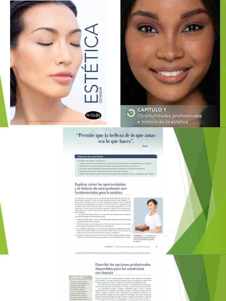 Modulo+1 Historia+de+La+Profesion +PARTE+Estetica | PDF | Negocios