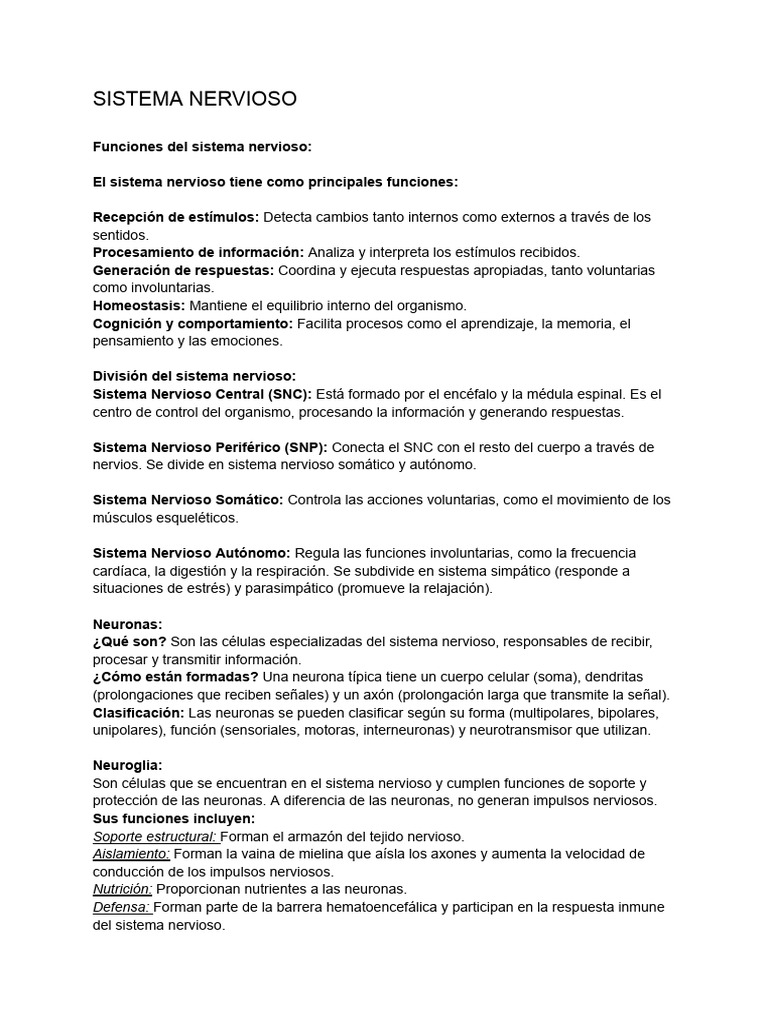 Funciones y Estructura del Sistema Nervioso | PDF | Sistema nervioso ...