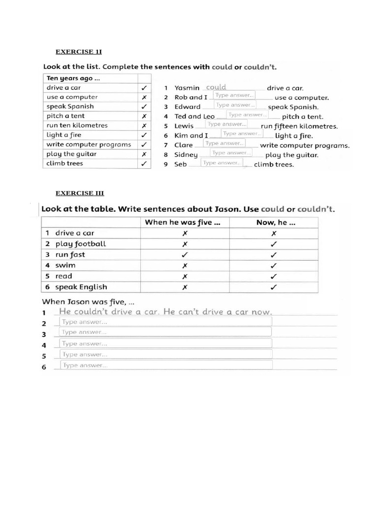 Could couldnt worksheet 2 pdf