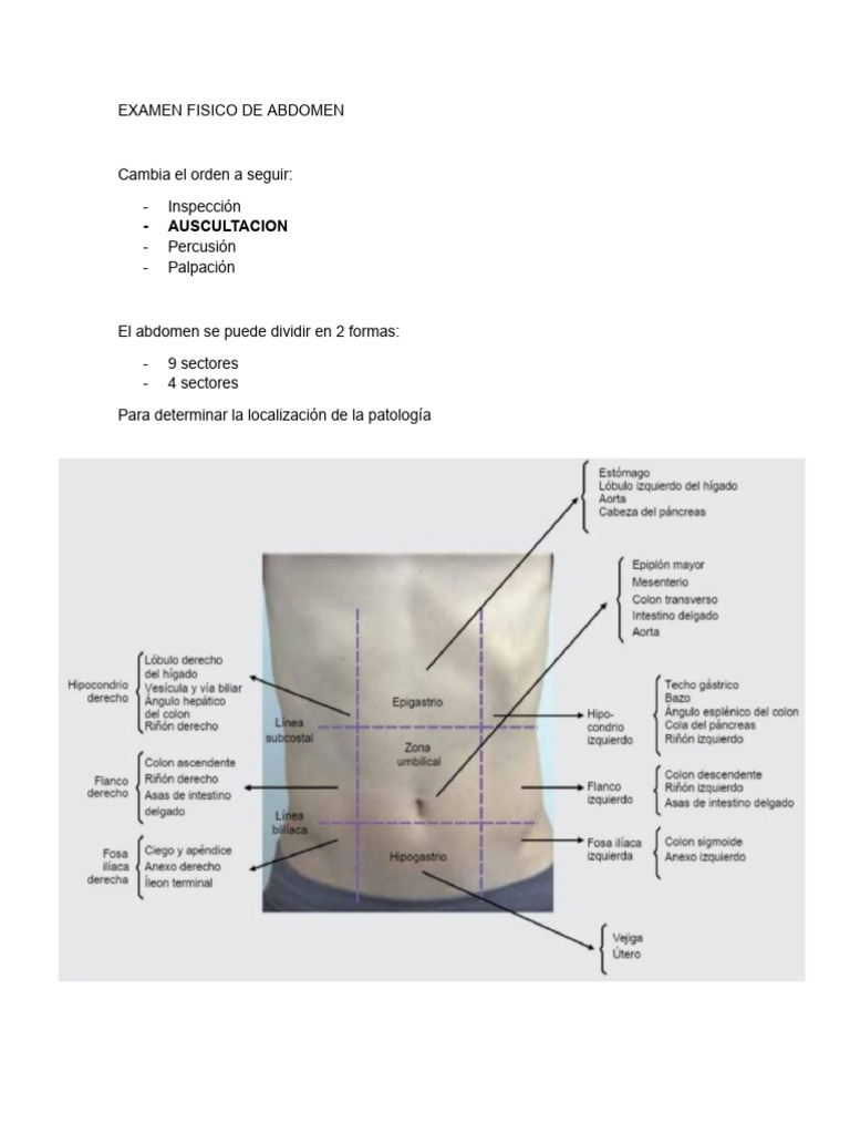Inspección ABDOMEN | PDF | Ciencia y matemáticas