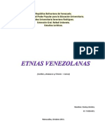 Diferencias Importantes de Los Grupos Étnicos Venezolanos - Greicy Arrieta