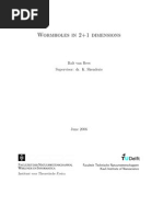 Balt Van Rees - Wormholes in 2+1 Dimensions