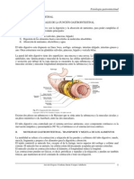 Fisiología gastrointestinal