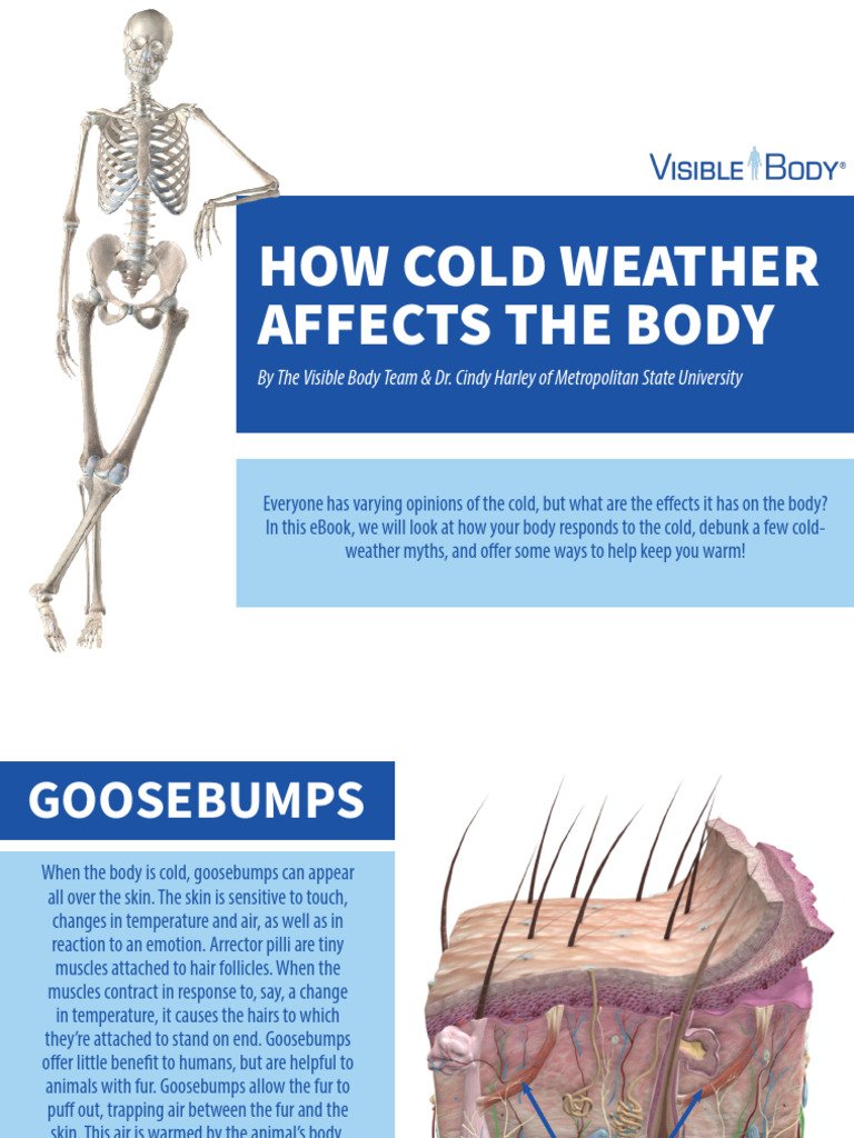 Effects of Cold Weather on the Body | PDF | Hypothermia | Medical ...