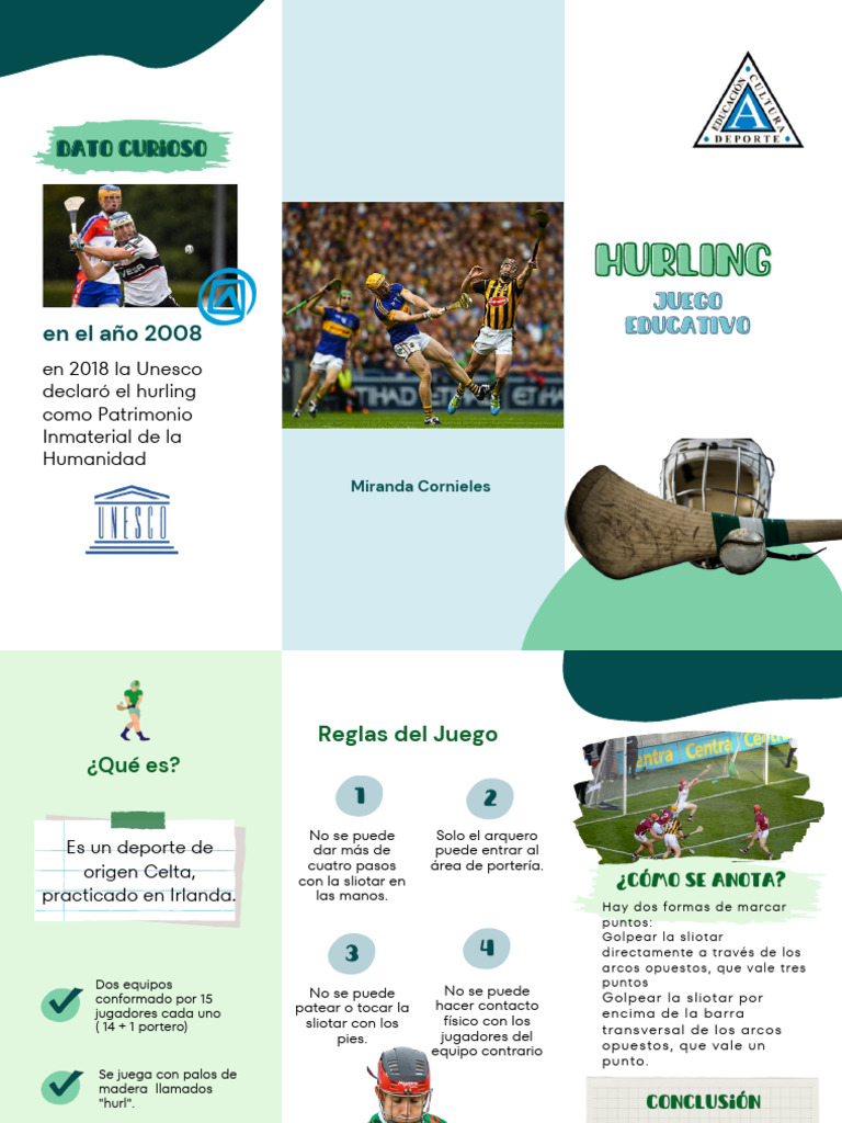 Hurling: Deporte Celta y su Magia | PDF | Reglas y regulaciones ...