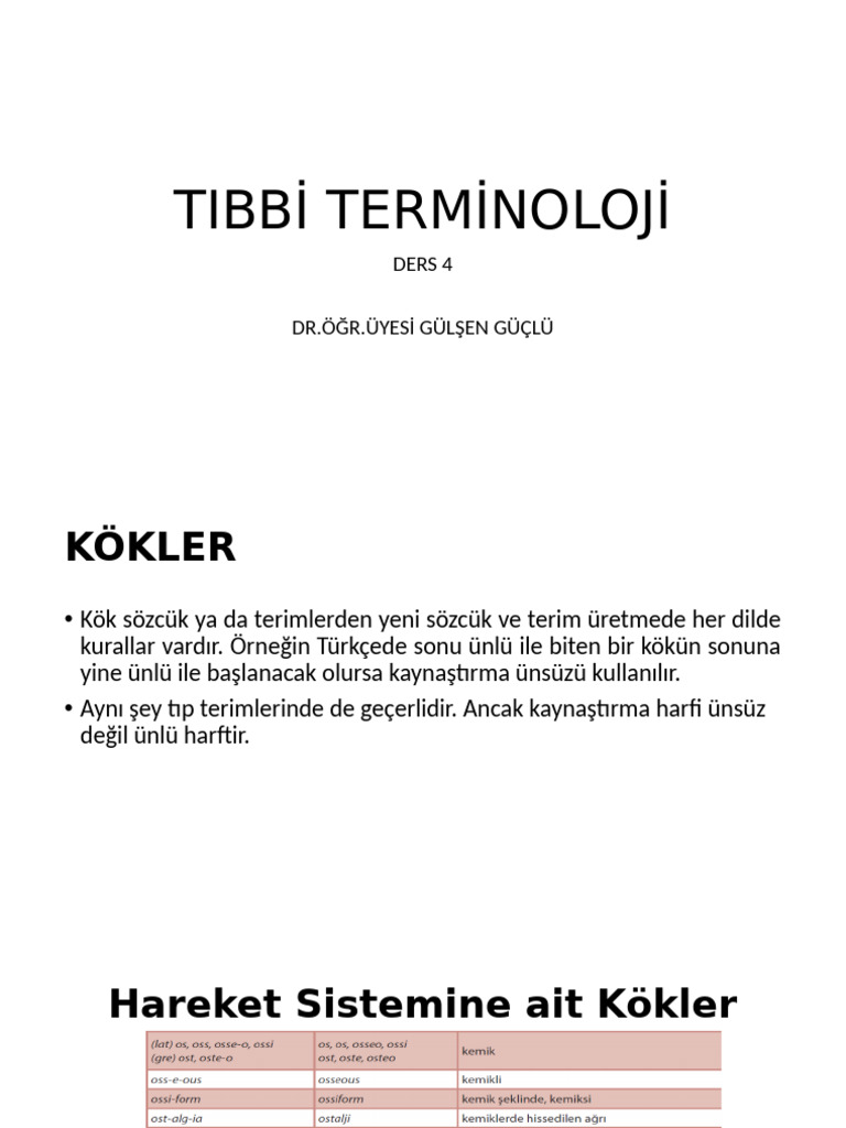 Terminoloji 4 | PDF