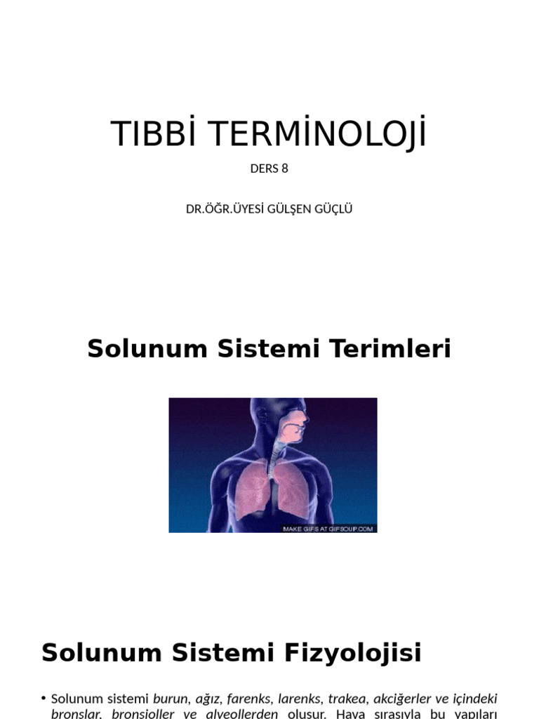 Terminoloji 8 | PDF