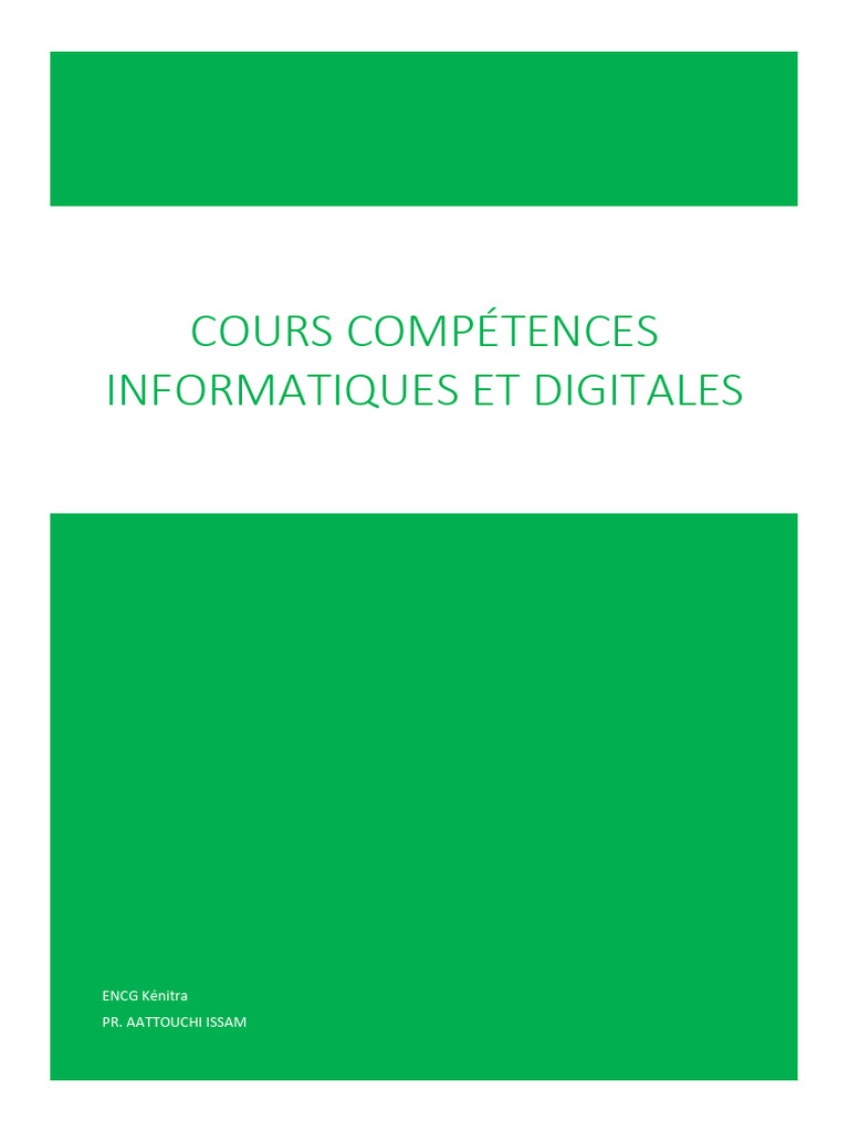 Maîtriser Excel pour le Commerce | PDF | Microsoft Excel | Informatique