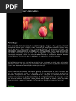 o Evangelismo Simples de Jesus