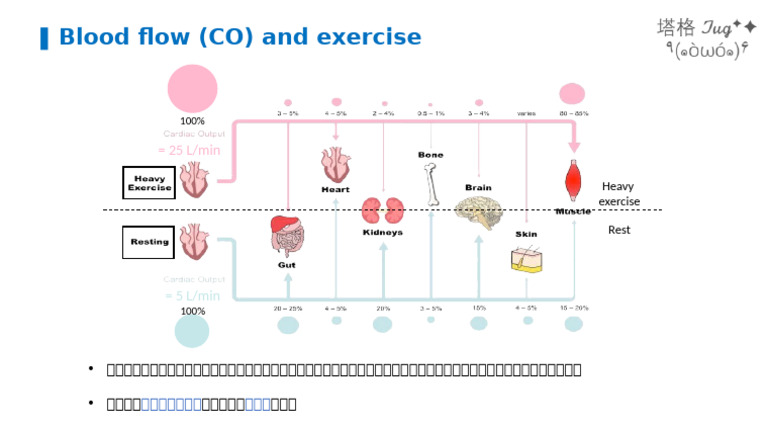 The Cardiovascular System | PDF