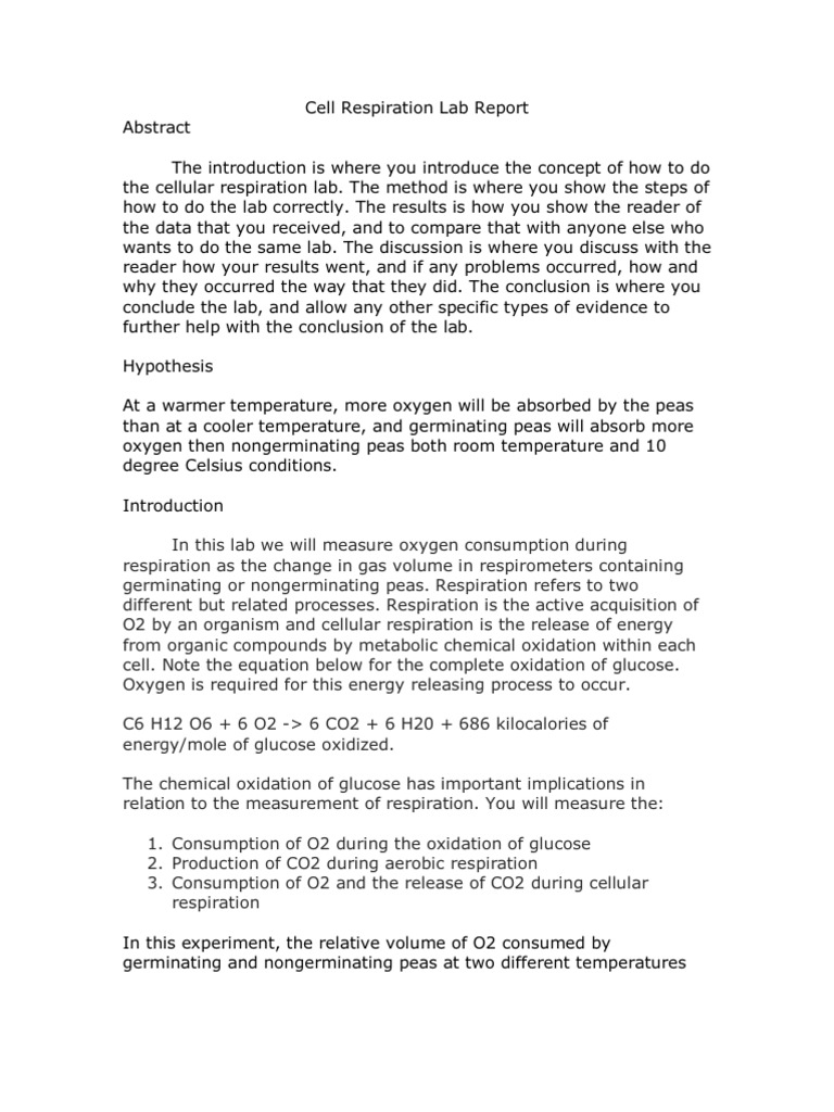 How to write biography essay questions