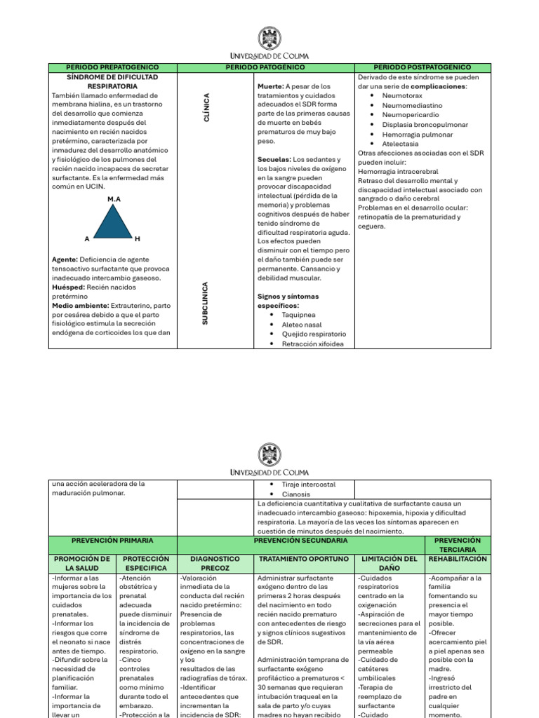 Síndrome de Dificultad Respiratoria Neonatal | PDF | Medicina CLINICA