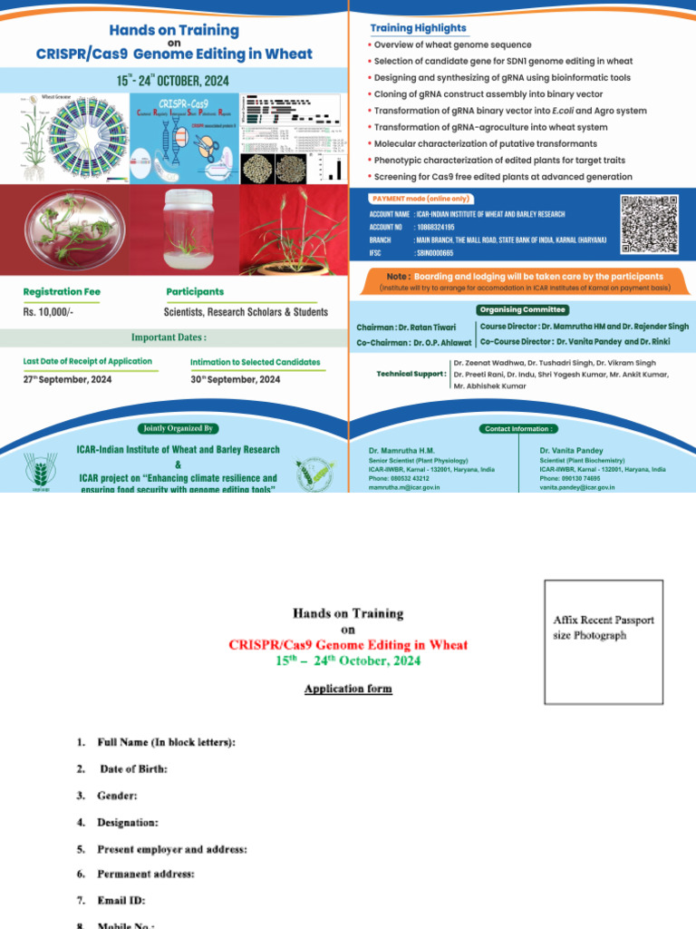 CRISPR - Cas9 Genome Editing in Wheat | PDF