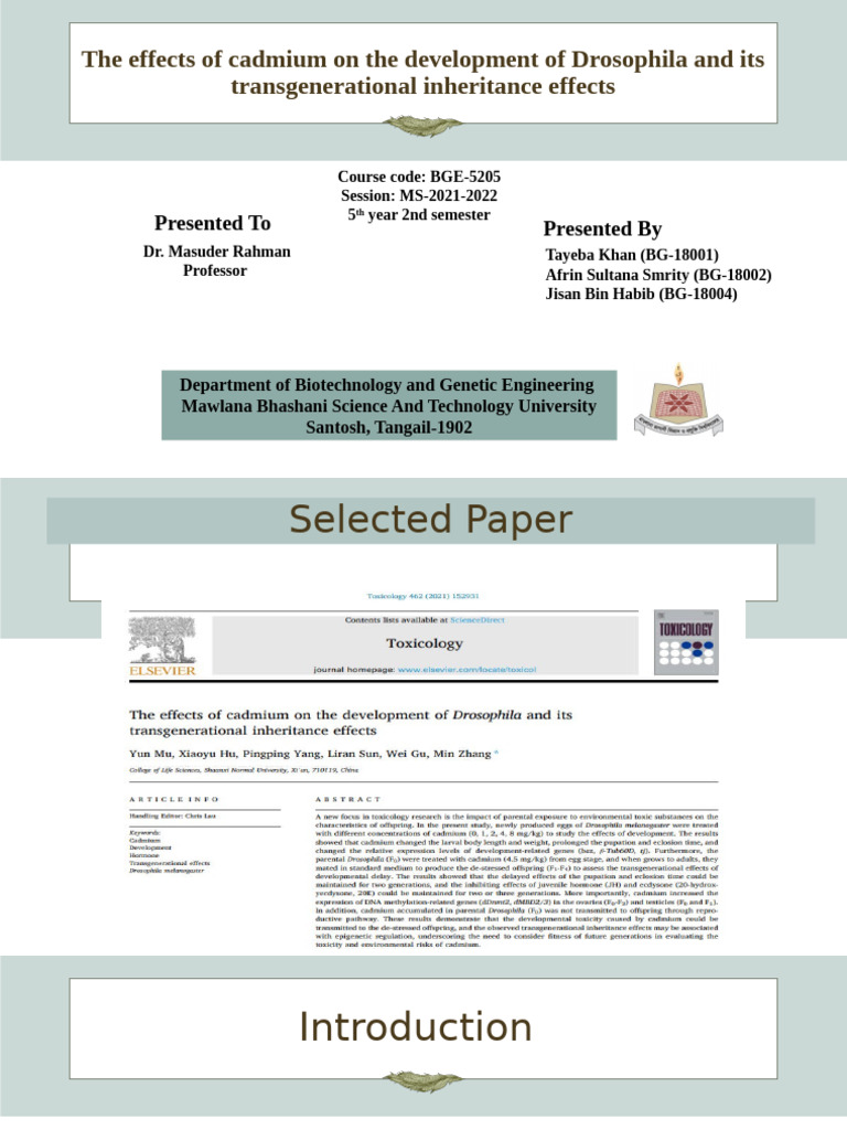 Developmental Biology 1 | PDF | Drosophila Melanogaster | Biology