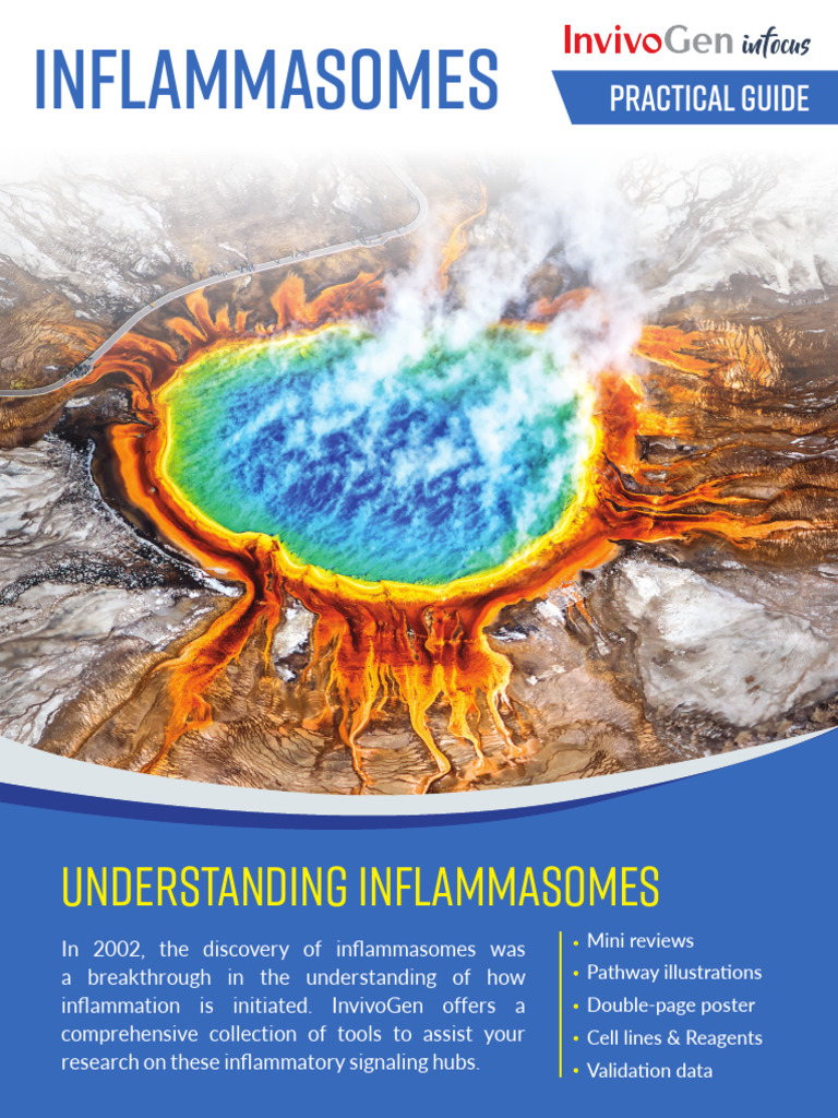 Inflammasome Research Guide | PDF | Interferon | Macromolecules