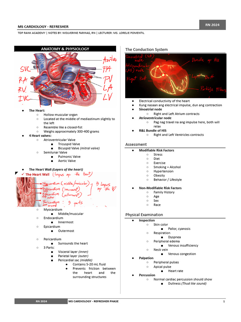 3.) MS Cardiology - Refresher | PDF | Heart | Heart Valve