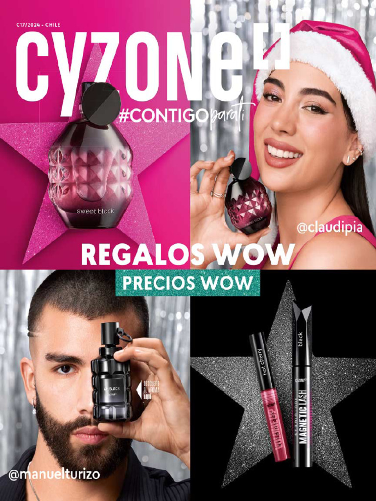 Cyzone Chile c17 2024 | PDF