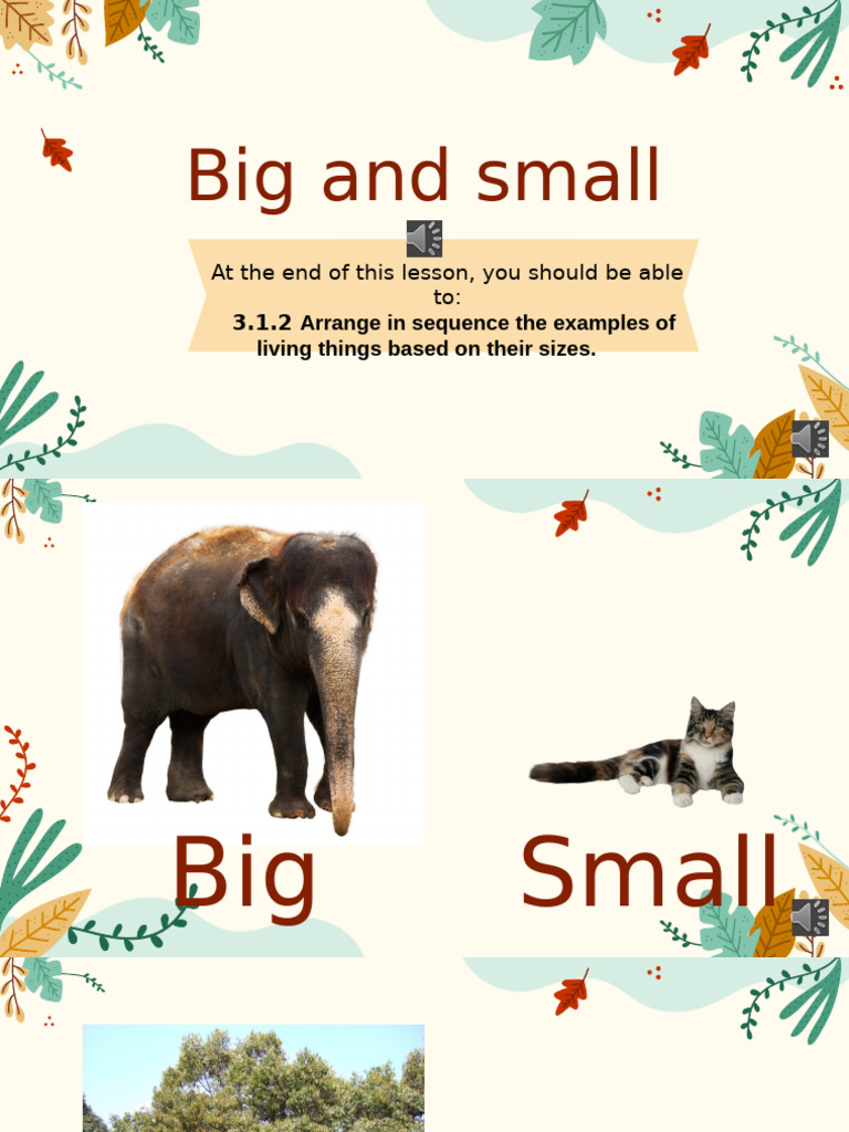 Big and Small (Living Things and Non Living Things) | PDF | Home & Garden
