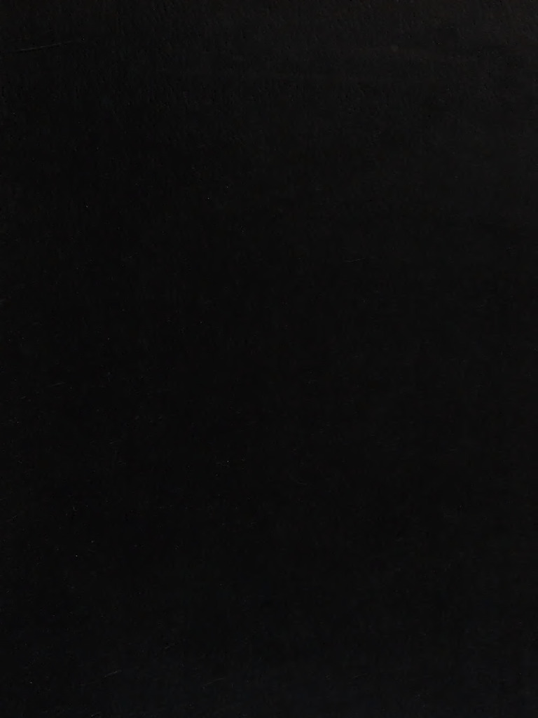 Transcendence And Violence The Encounter Ofbuddhist Christian And