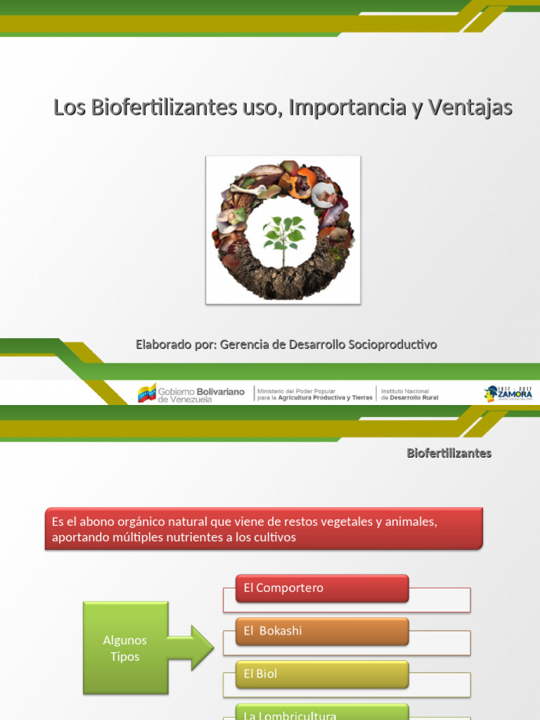 5 Biofert | PDF