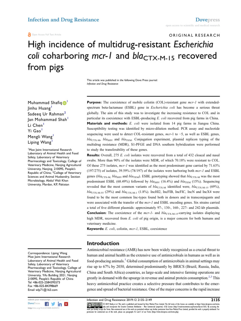 2.idr 209473 High Incidence of Multidrug Resistant Escherichia Coli ...