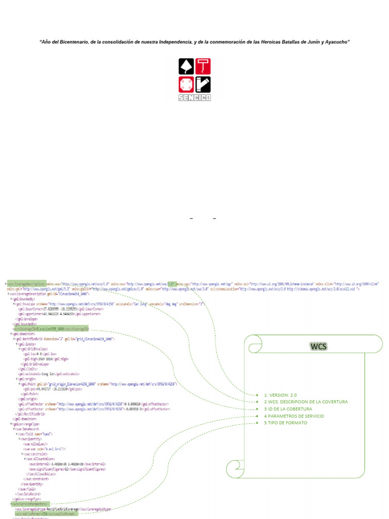 WCS WMTS WPS | PDF