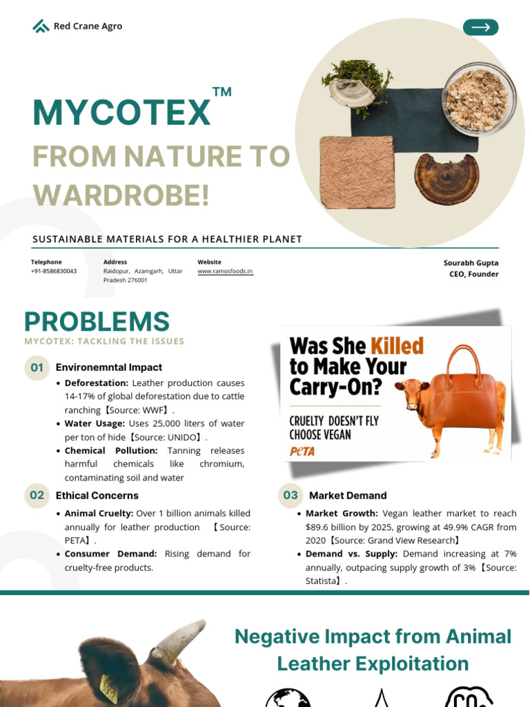 MycoTex: Sustainable Mycelium Leather | PDF | Leather | Environmental ...