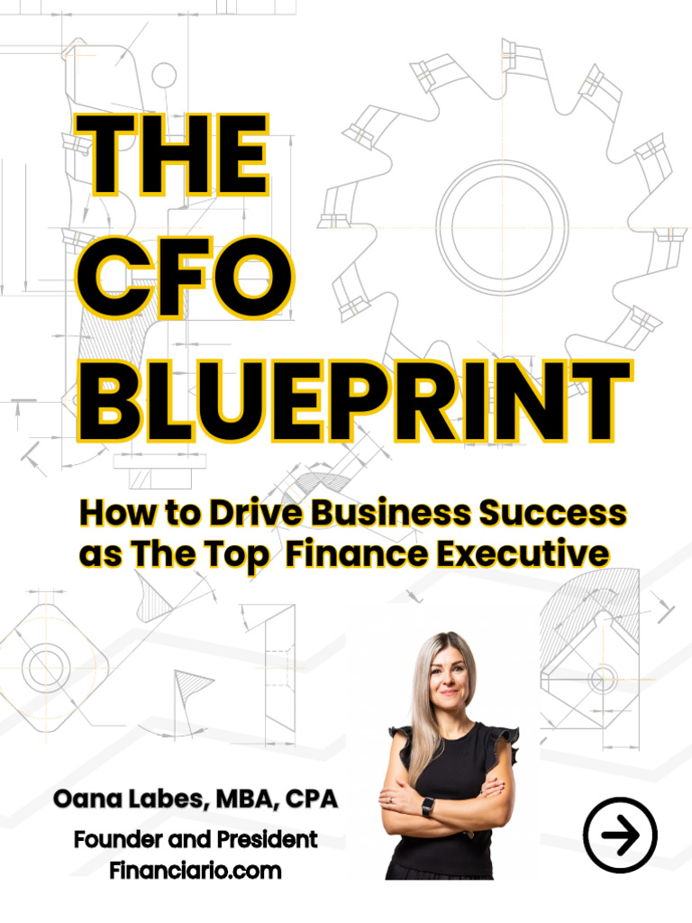 The Cfo Blueprint Pdf Mergers And Acquisitions Chief Financial