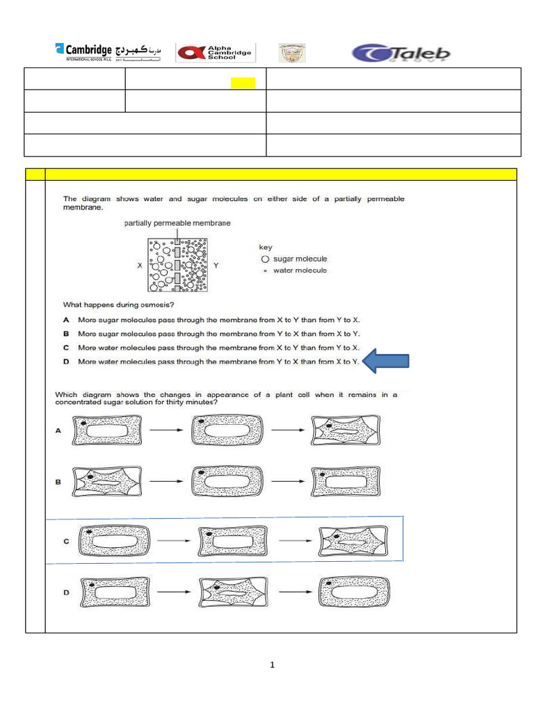 HW 7 Bio | PDF | Osmosis | Cell Biology